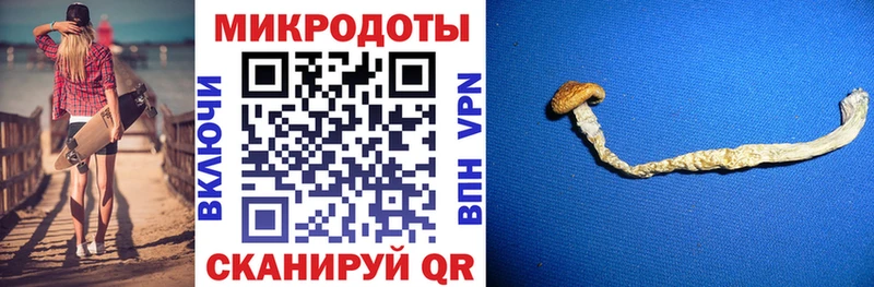 Галлюциногенные грибы прущие грибы  Гаврилов-Ям 